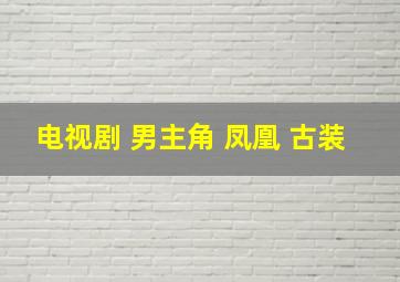 电视剧 男主角 凤凰 古装